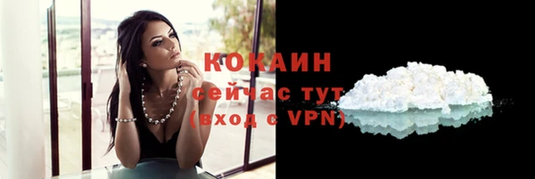 молекула духа Осташков